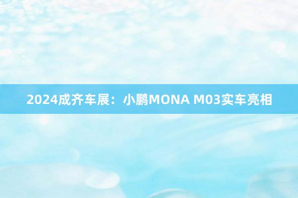 2024成齐车展：小鹏MONA M03实车亮相