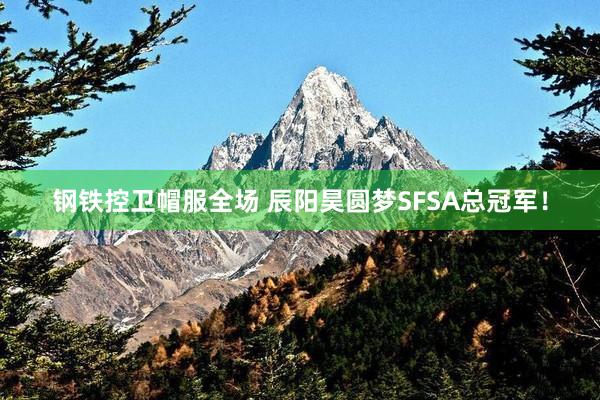 钢铁控卫帽服全场 辰阳昊圆梦SFSA总冠军！