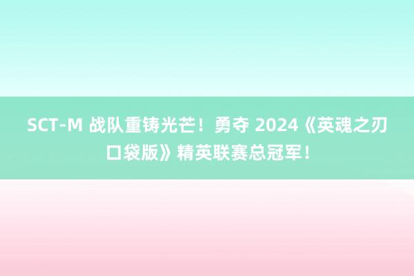 SCT-M 战队重铸光芒！勇夺 2024《英魂之刃口袋版》精英联赛总冠军！