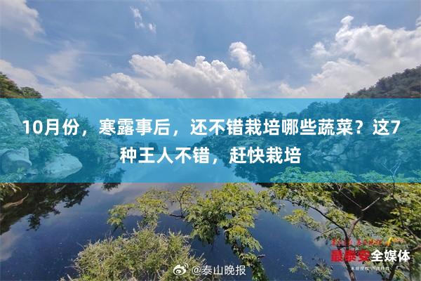 10月份，寒露事后，还不错栽培哪些蔬菜？这7种王人不错，赶快栽培