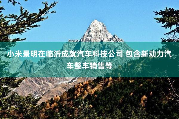 小米景明在临沂成就汽车科技公司 包含新动力汽车整车销售等