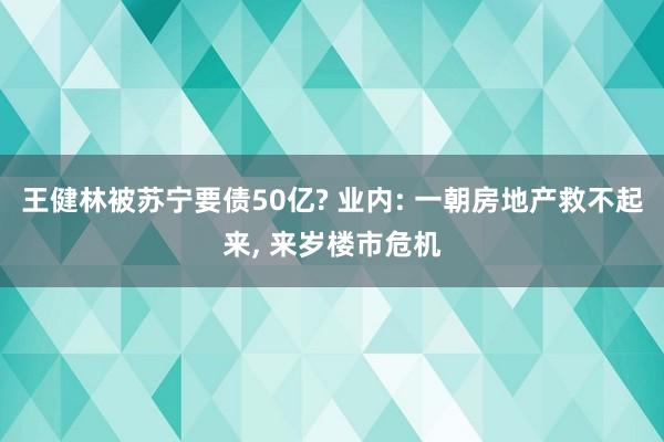 王健林被苏宁要债50亿? 业内: 一朝房地产救不起来, 来岁楼市危机