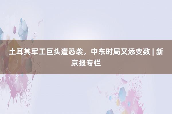 土耳其军工巨头遭恐袭，中东时局又添变数 | 新京报专栏