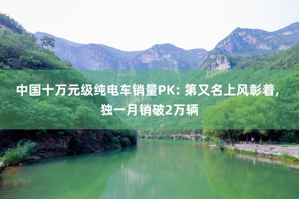 中国十万元级纯电车销量PK: 第又名上风彰着, 独一月销破2万辆