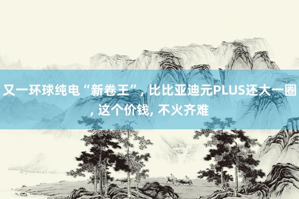 又一环球纯电“新卷王”, 比比亚迪元PLUS还大一圈, 这个价钱, 不火齐难