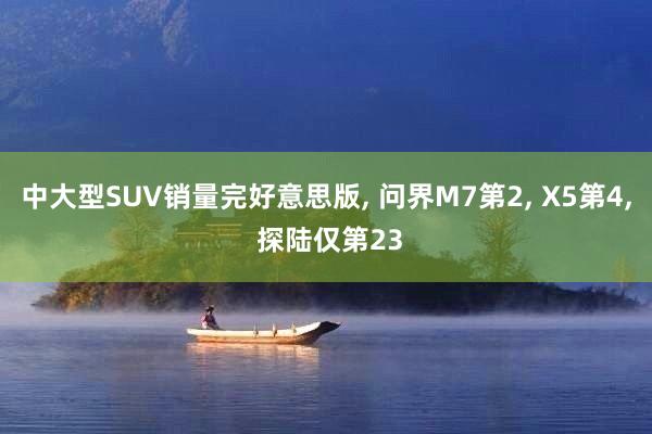 中大型SUV销量完好意思版, 问界M7第2, X5第4, 探陆仅第23